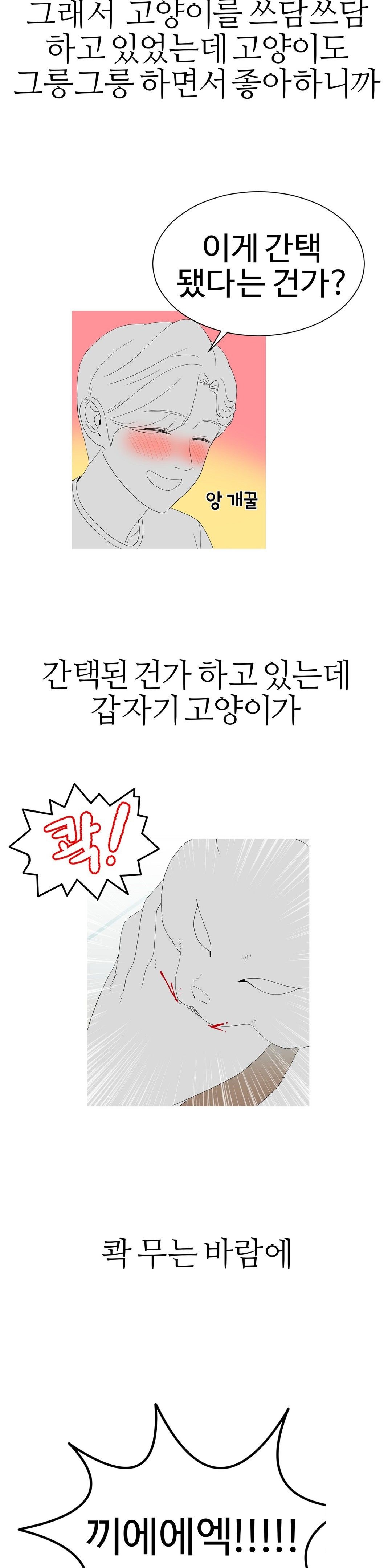 Like a Fox 2 Raw Chapter 11 Page 8