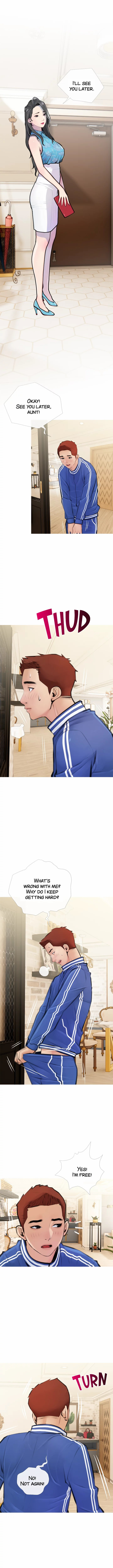 Banging My Aunt Chapter 1 Page 10