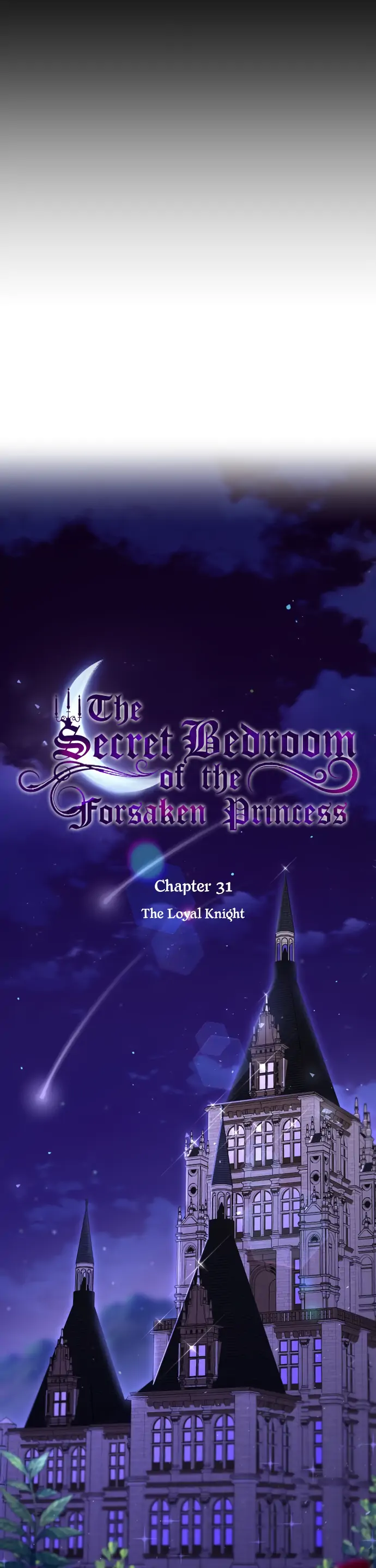The Secret Bedroom of the Forsaken Princess Chapter 31 Page 9