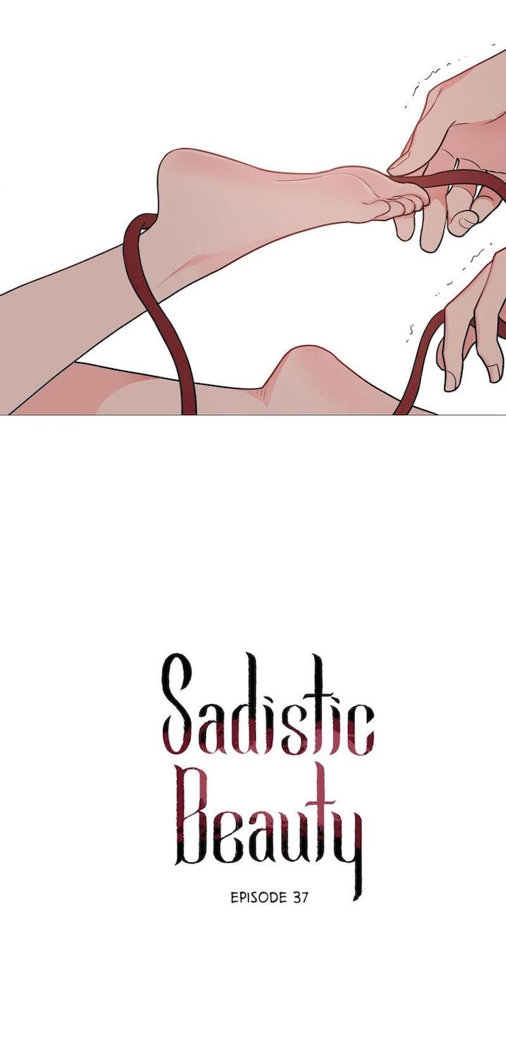 Sadistic Beauty Chapter 37 Page 2