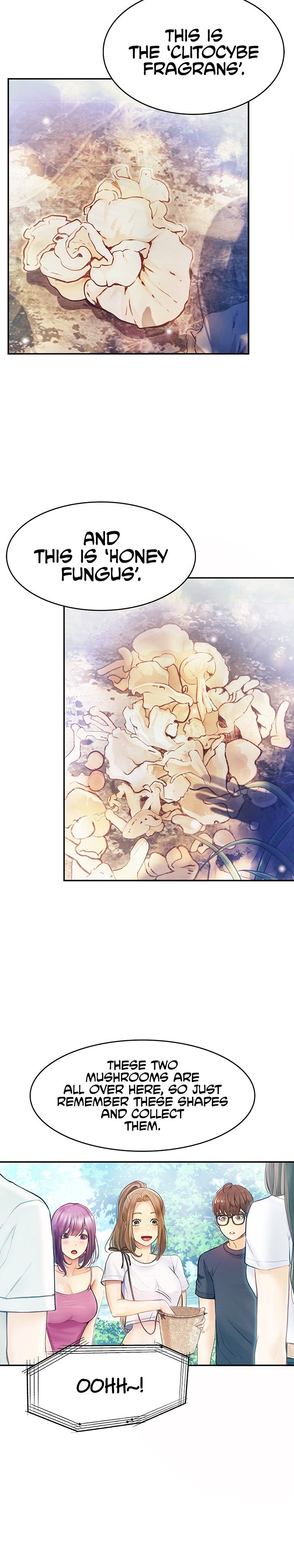 Happy Campus Chapter 26 Page 21