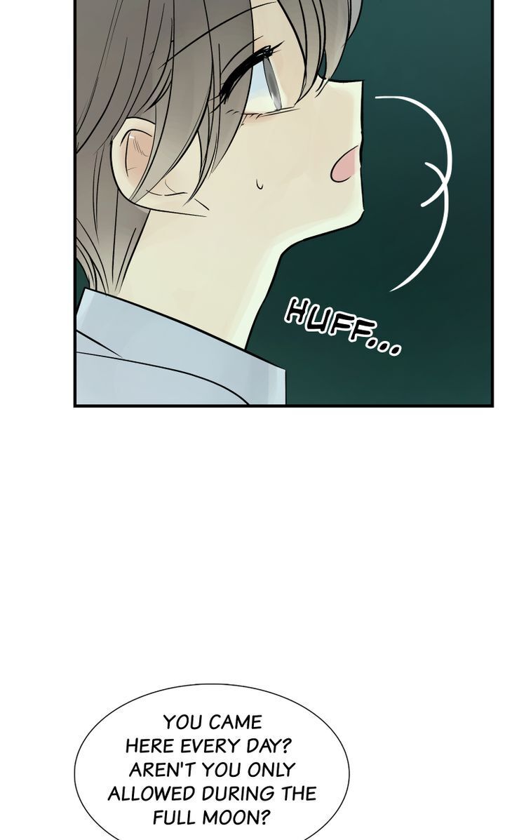 Totem Realm Chapter 39 Page 83