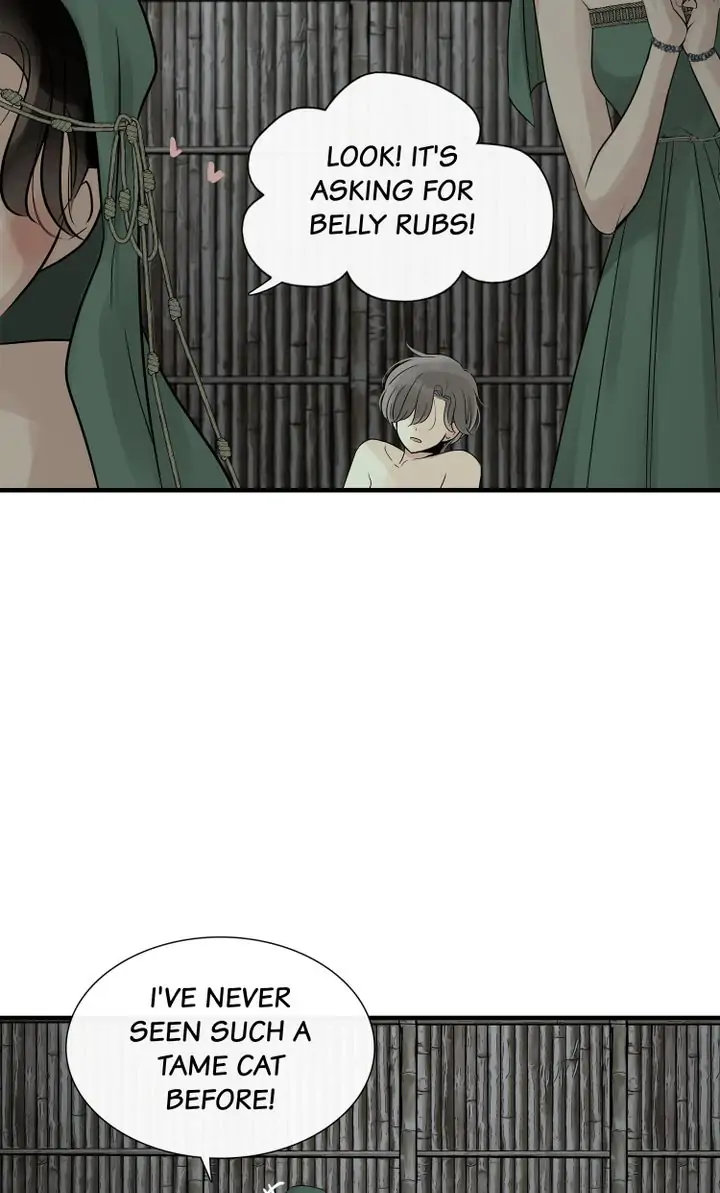 Totem Realm Chapter 79 Page 8
