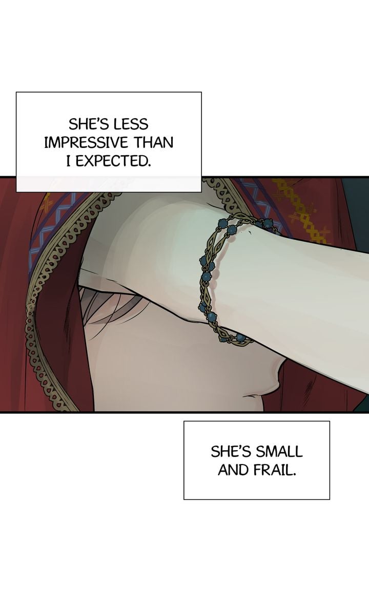 Totem Realm Chapter 81 Page 43