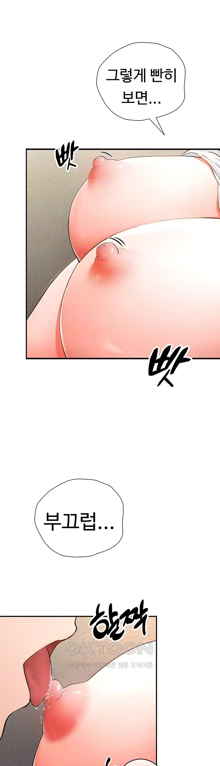 The Student Council President’s Hidden Task Is the (Sexual) Development of Female Students Raw Chapter 2 Page 13