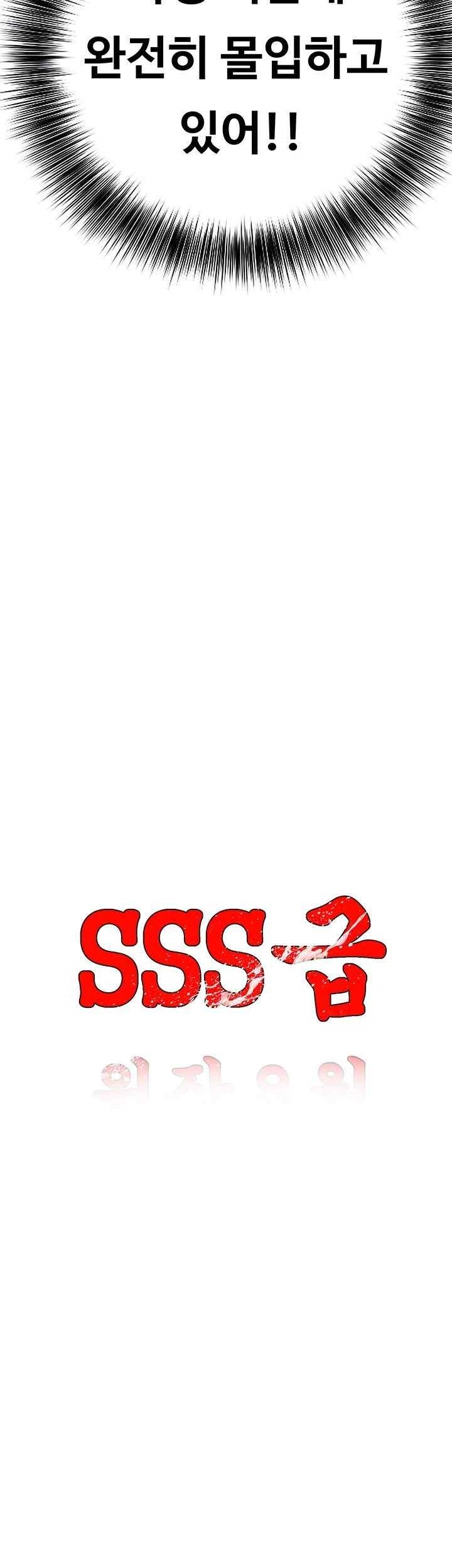 SSS-Class Undercover Agent Raw Chapter 33 Page 9