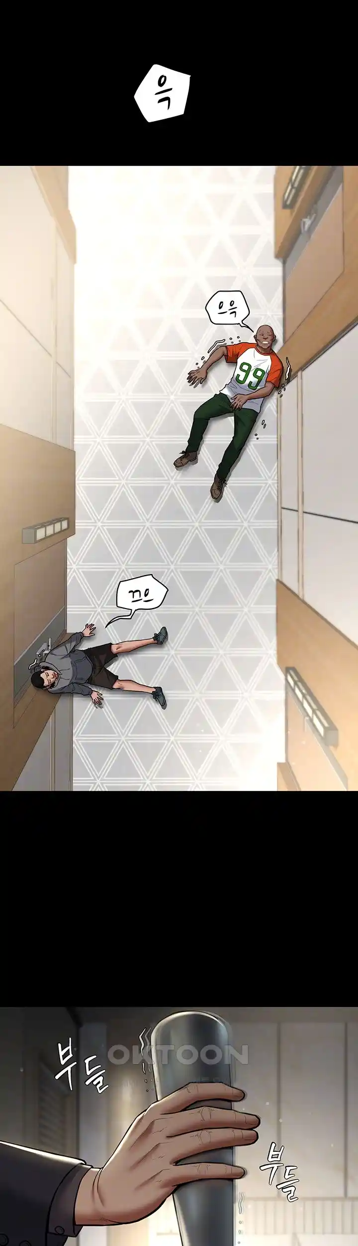 A Very Privative Revenge Raw Chapter 10 Page 5