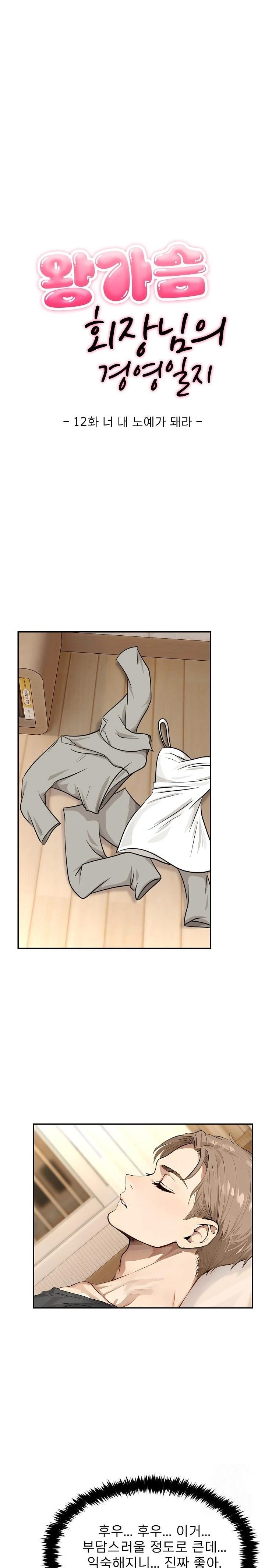 The Management Diary of the Big-Breasted Chairman Raw Chapter 12 Page 1