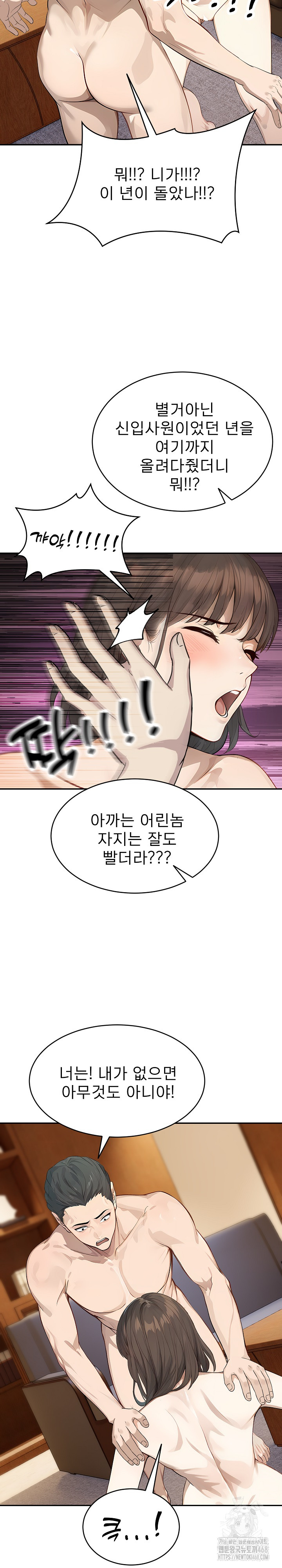 The Management Diary of the Big-Breasted Chairman Raw Chapter 19 Page 13