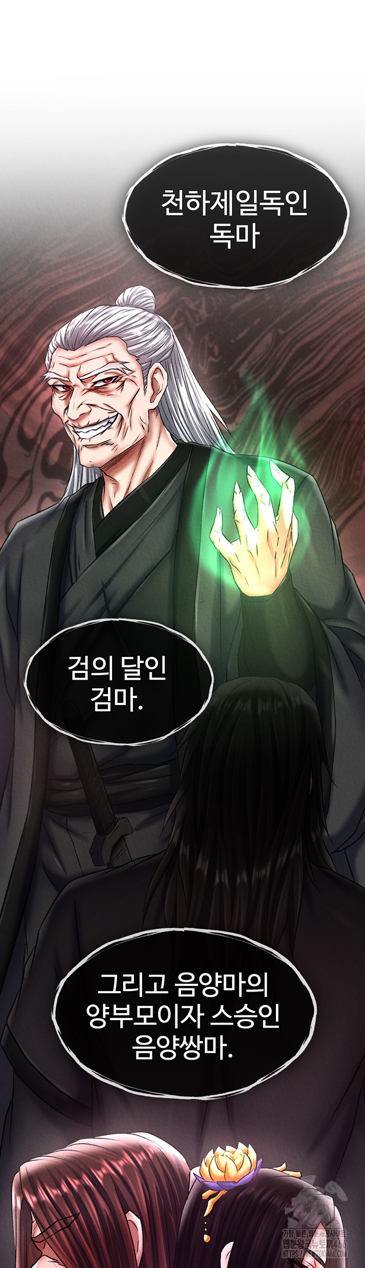 I Ended Up in the World of Murim Raw Chapter 63 Page 45