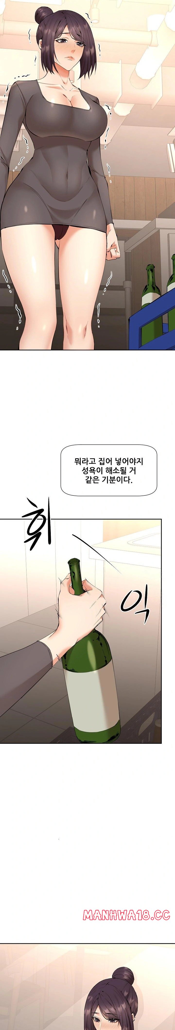 Older Sister Raw Chapter 4 Page 14