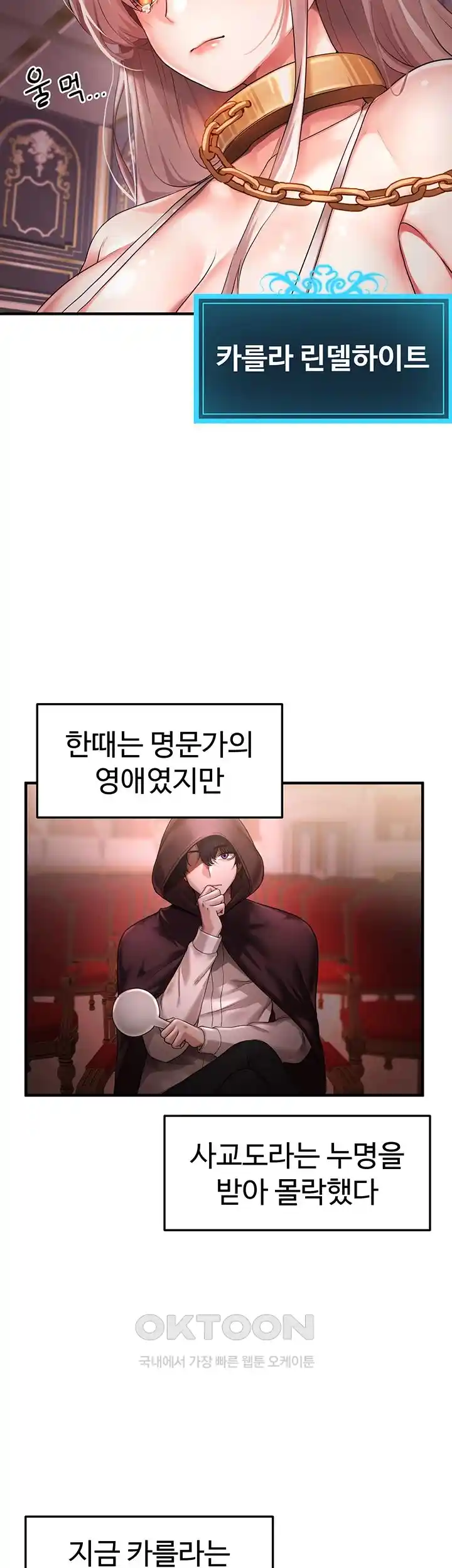 For Sale: Fallen Lady, Never Used Raw Chapter 1 Page 3