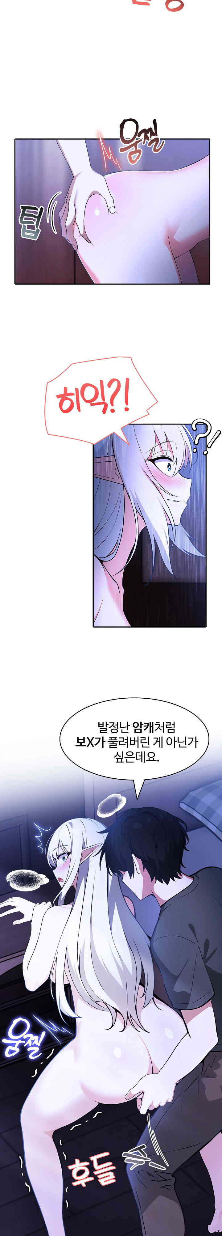 Isekai Dragondick Knight Commander Raw Chapter 3 Page 12