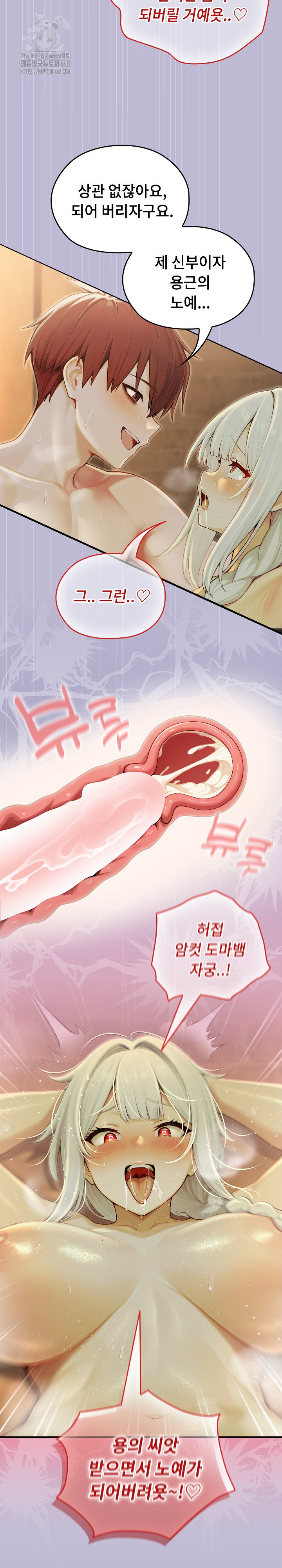 Isekai Dragondick Knight Commander Raw Chapter 60 Page 25