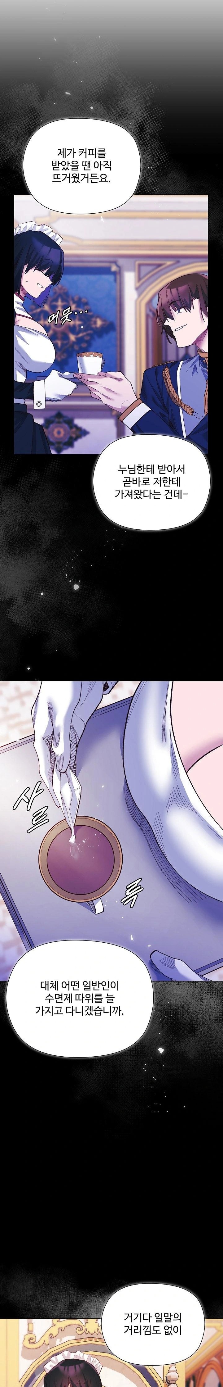 I Will Protect the Lady Raw Chapter 11 Page 8