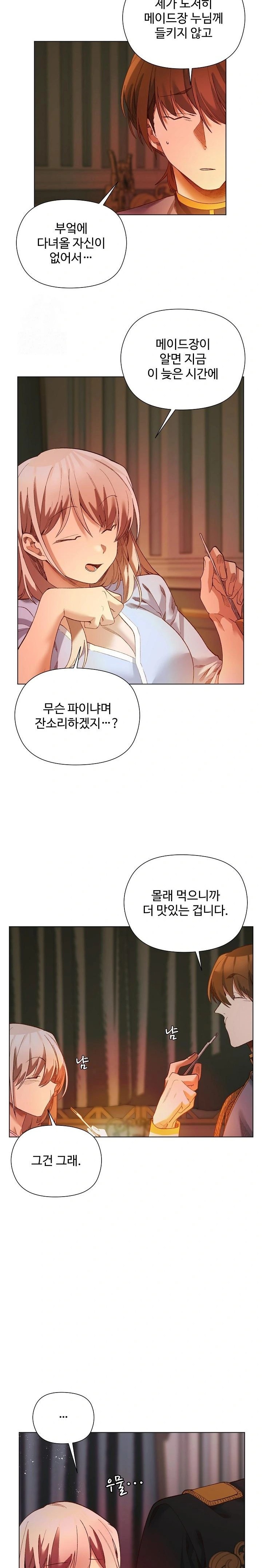 I Will Protect the Lady Raw Chapter 17 Page 18