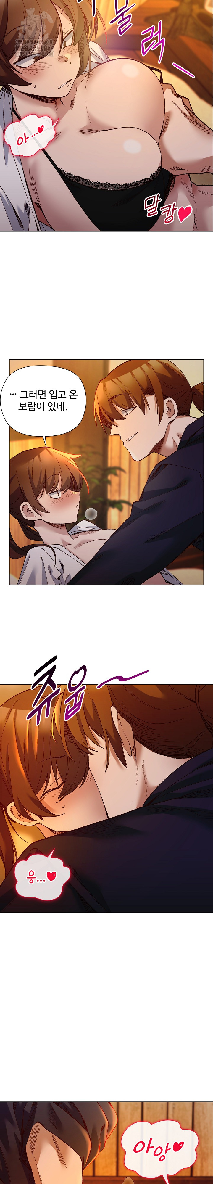 I Will Protect the Lady Raw Chapter 20 Page 11