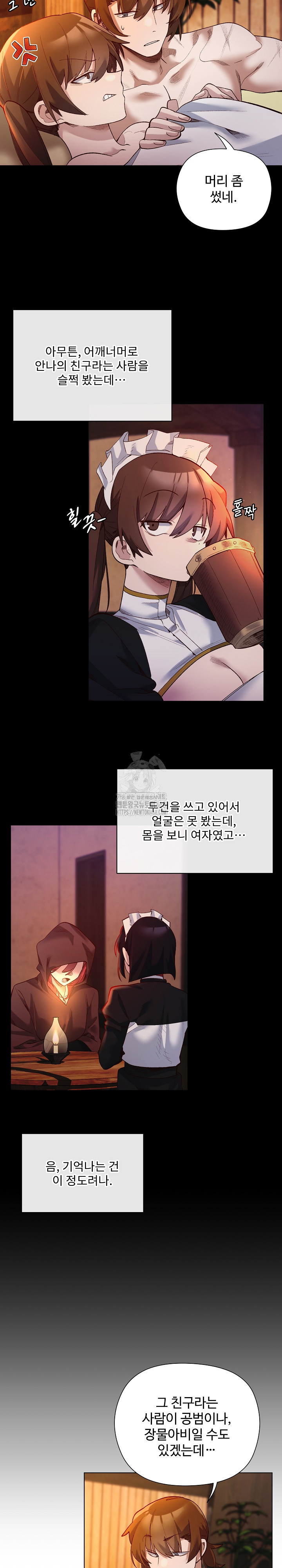 I Will Protect the Lady Raw Chapter 22 Page 11
