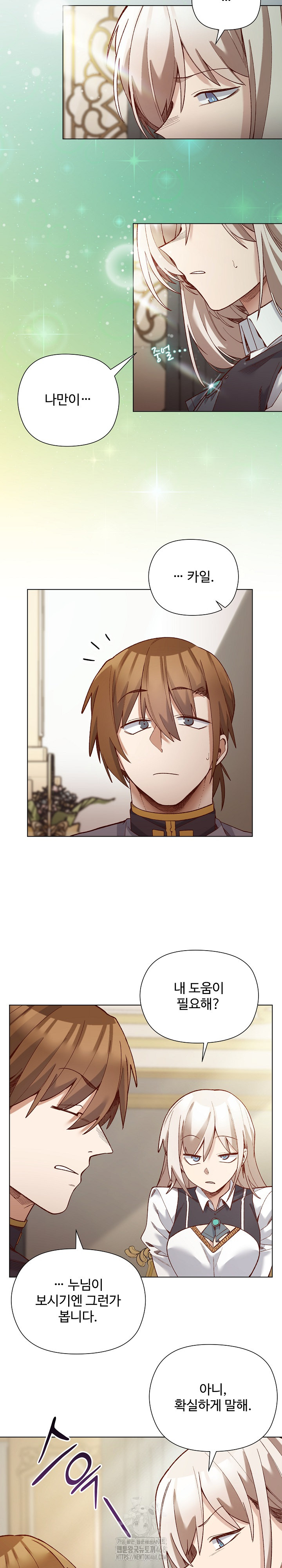 I Will Protect the Lady Raw Chapter 29 Page 8