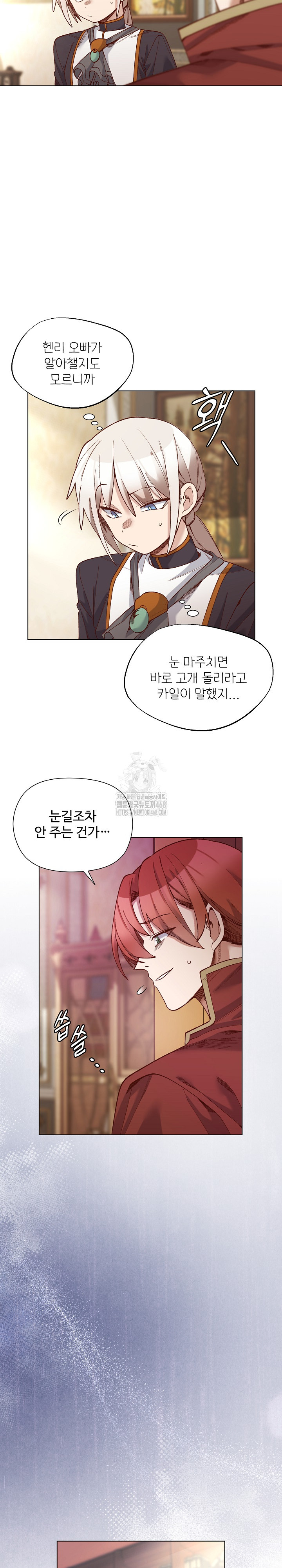 I Will Protect the Lady Raw Chapter 31 Page 11