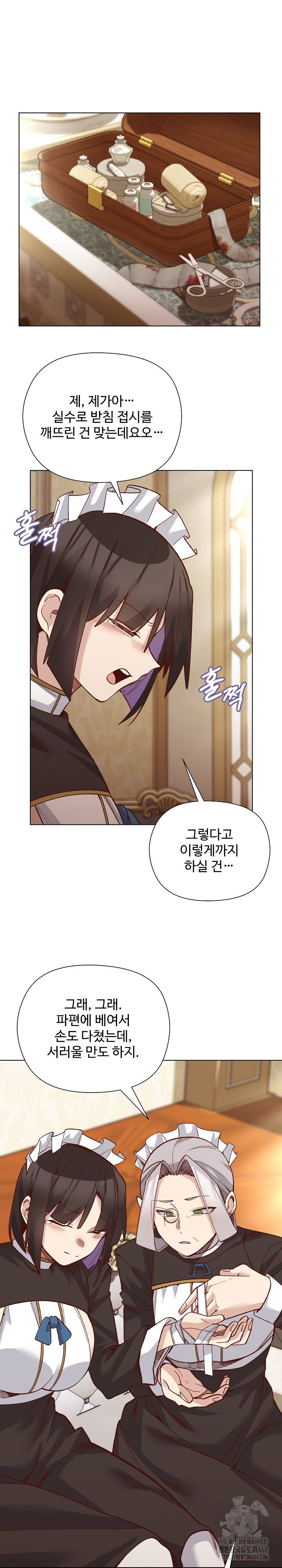 I Will Protect the Lady Raw Chapter 31 Page 8