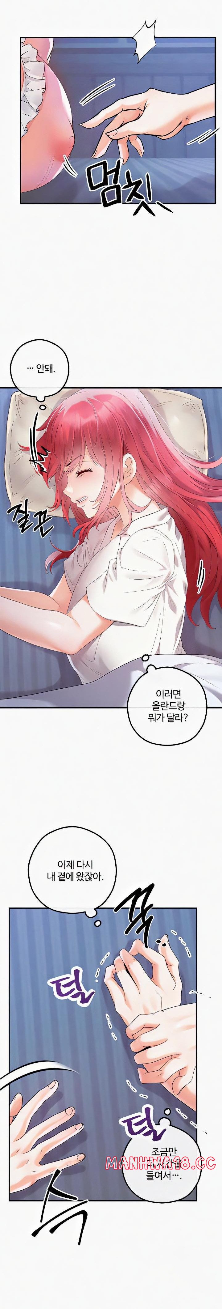 Revenge by Harem Raw Chapter 27 Page 12