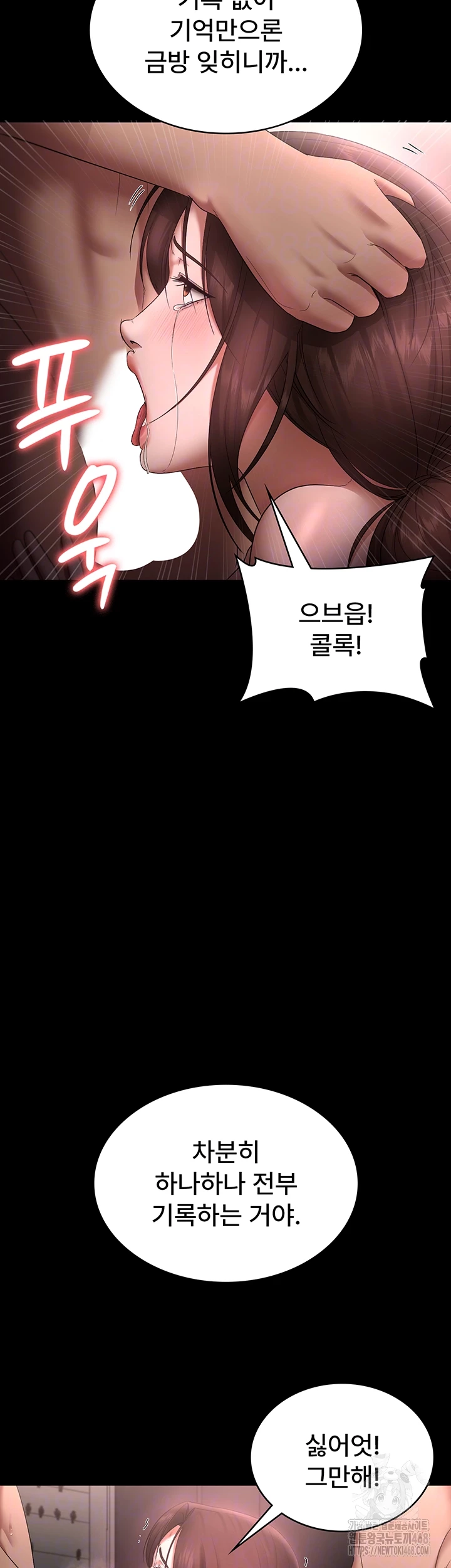 The Chairman’s Wife Raw Chapter 52 Page 13
