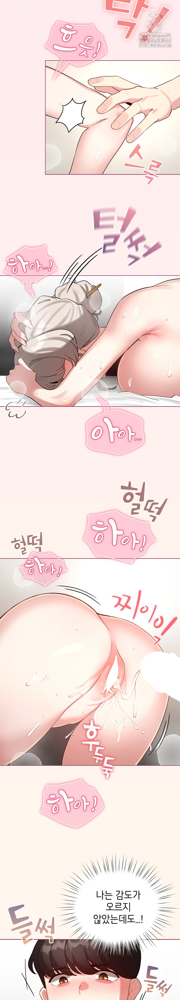 I Became a Pornhwa NPC Raw Chapter 53 Page 27