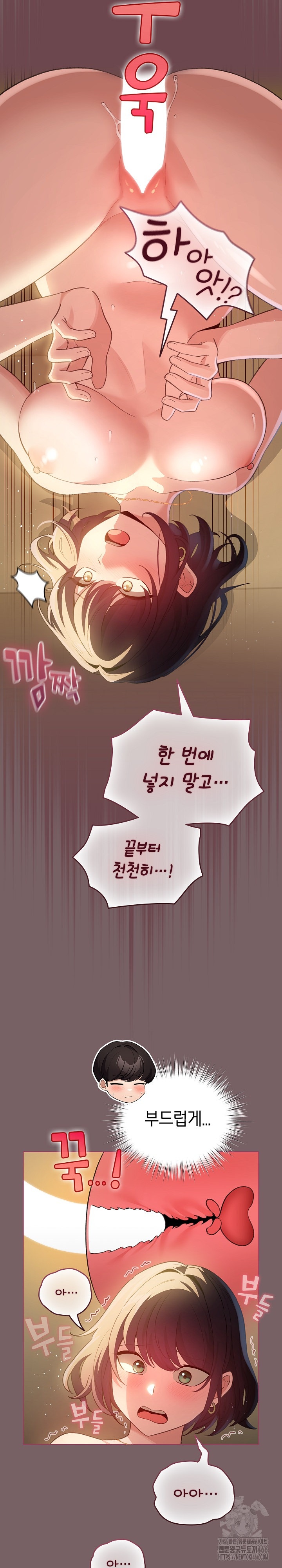 I Became a Pornhwa NPC Raw Chapter 11 Page 10