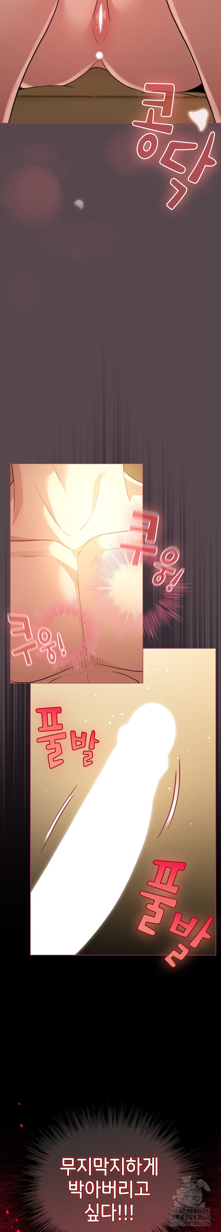 I Became a Pornhwa NPC Raw Chapter 11 Page 3