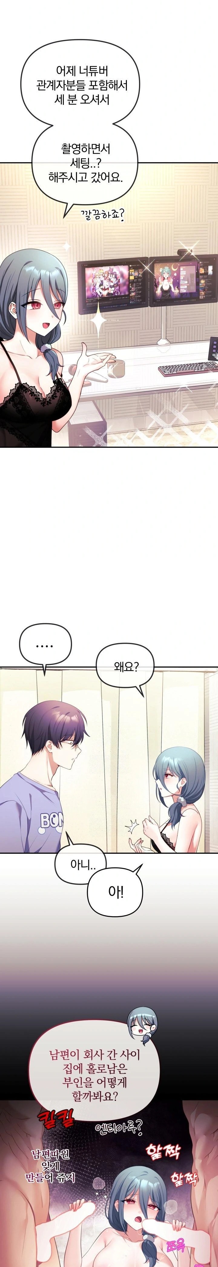 Wife VTuber Raw Chapter 2 Page 27