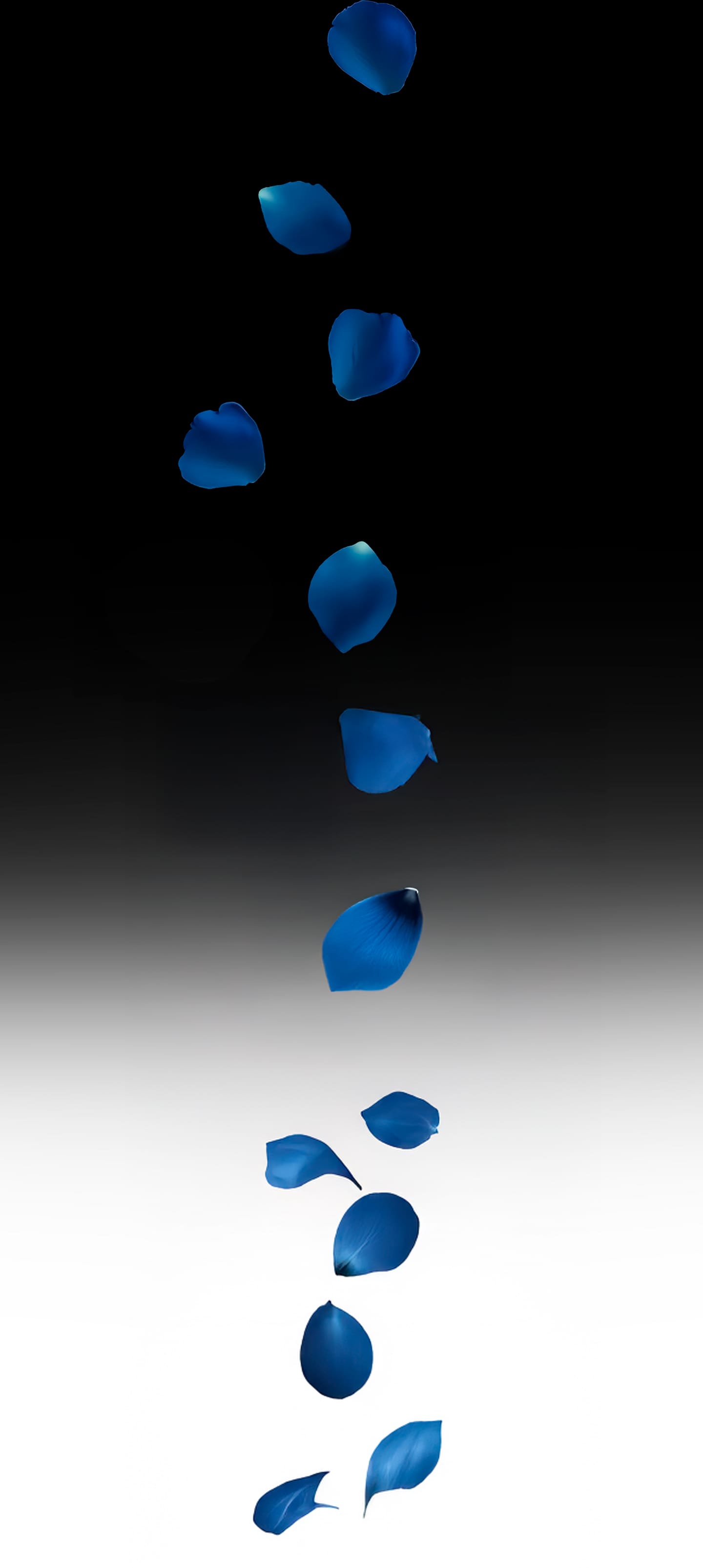 Dismissed [Rose Blue 3D] Chapter 1 Page 17