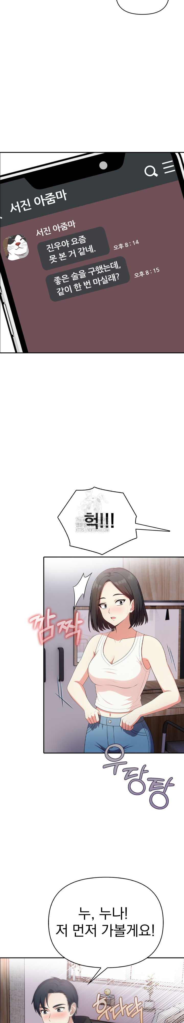 My Secret With My Auntie Raw Chapter 10 Page 17