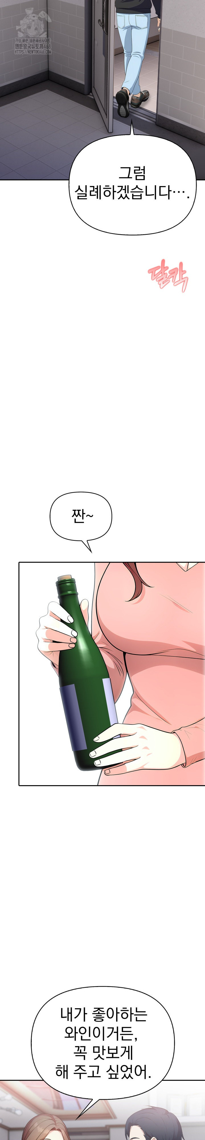 My Secret With My Auntie Raw Chapter 11 Page 17