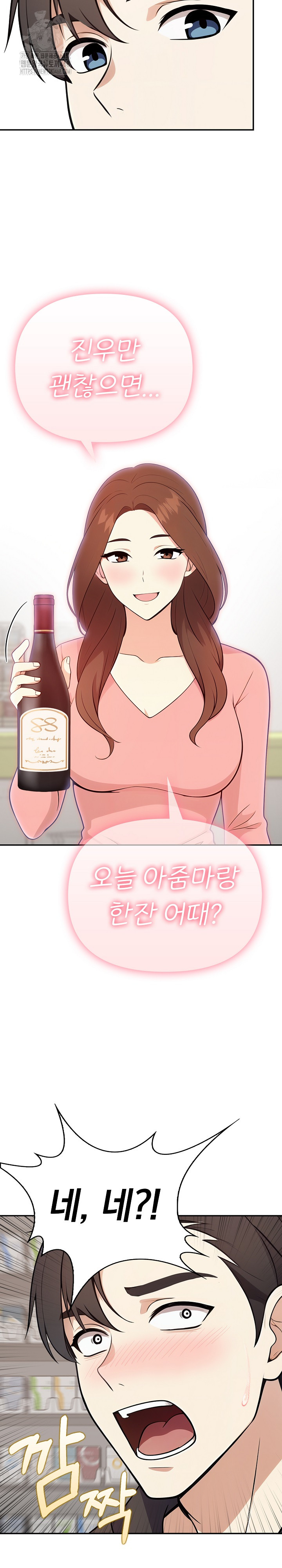 My Secret With My Auntie Raw Chapter 3 Page 27