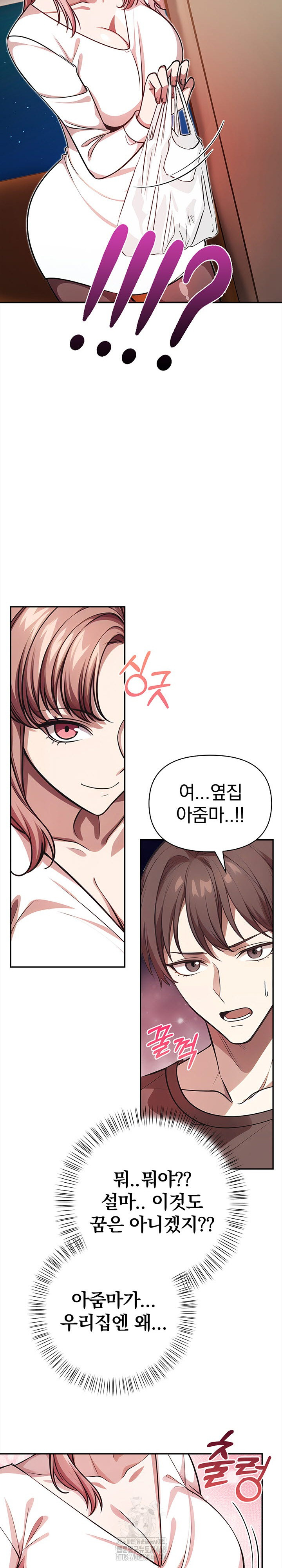 The Married Woman, Jieun Raw Chapter 2 Page 19