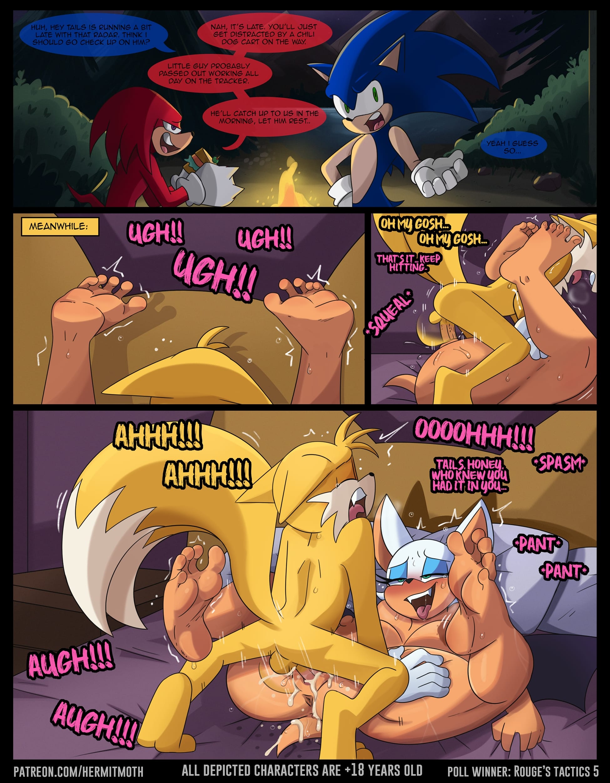 Rouge’s Tactics (Sonic the Hedgehog) [Hermit Moth] Chapter 1 Page 5