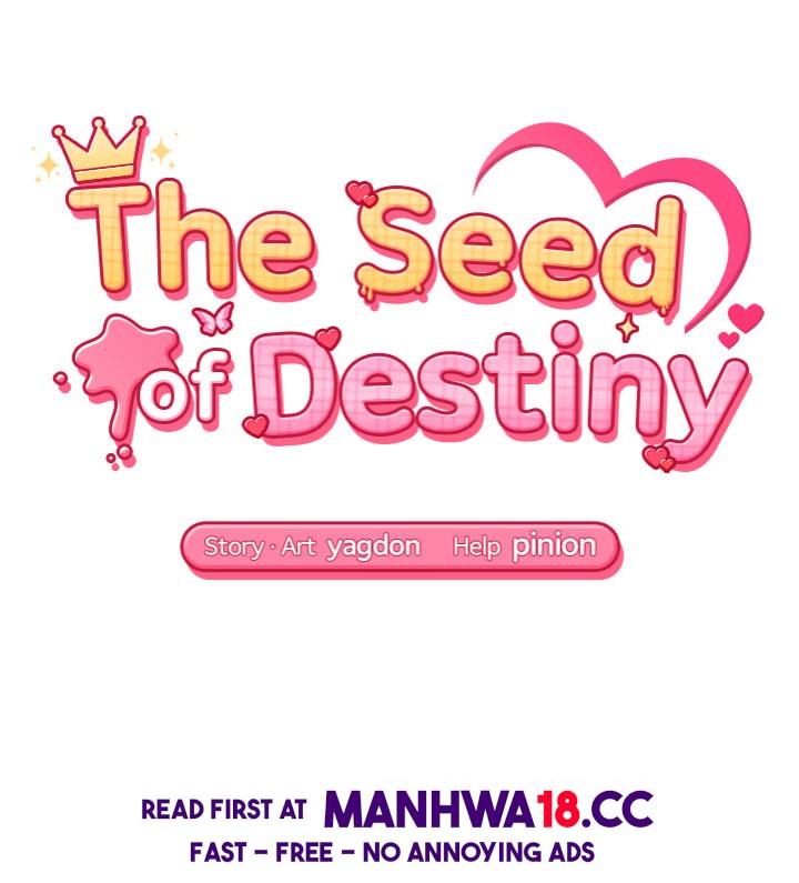 The Seed of Destiny Chapter 3 Page 16