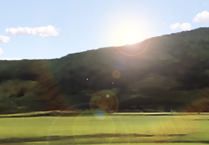 Stupidemic (Uncensored) Chapter 13 Page 3