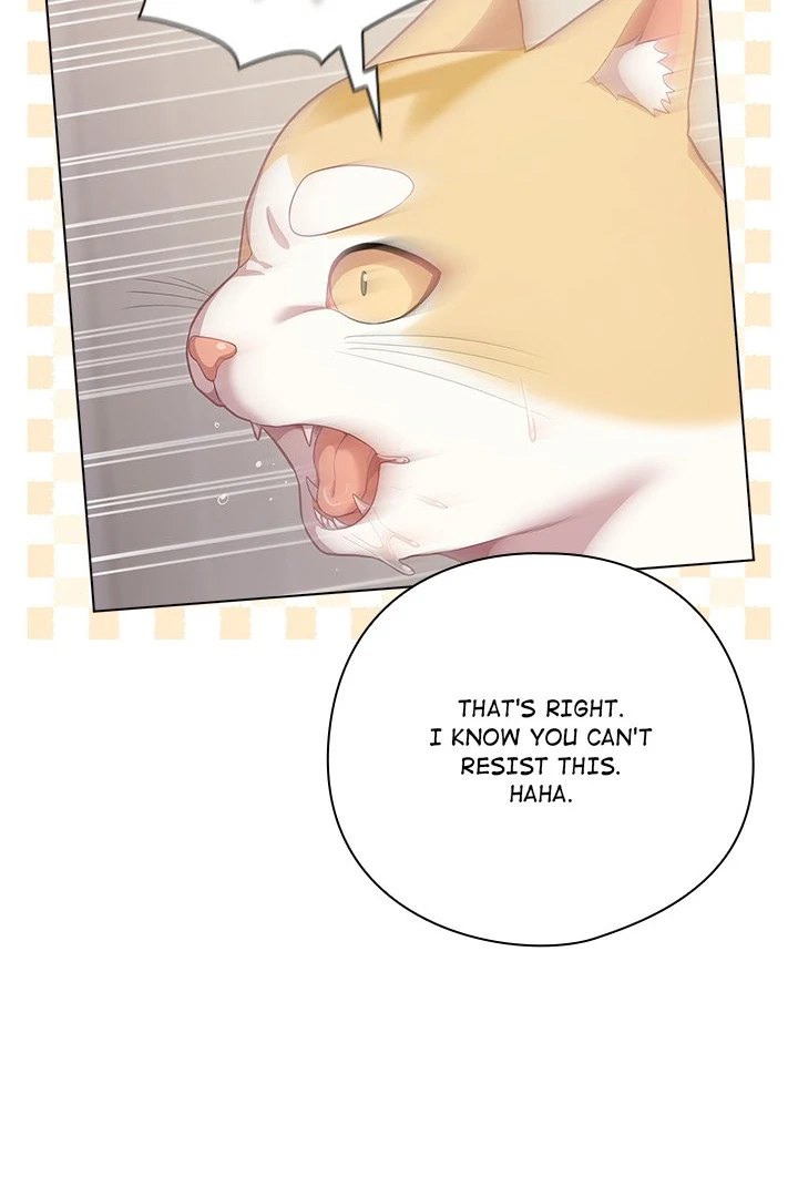The General Is Here! Chapter 33 Page 66