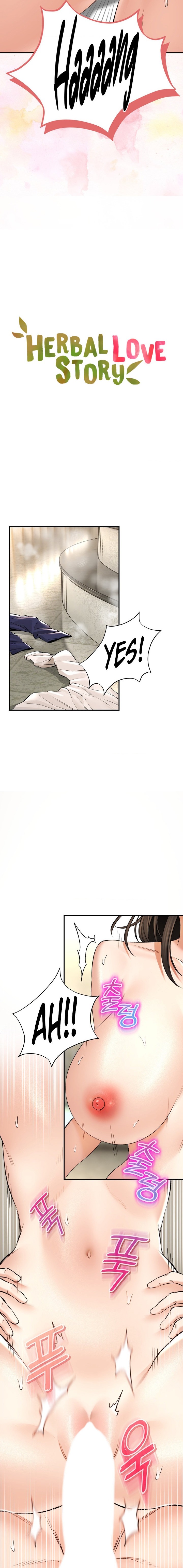 Herbal Love Story Chapter 35 Page 2