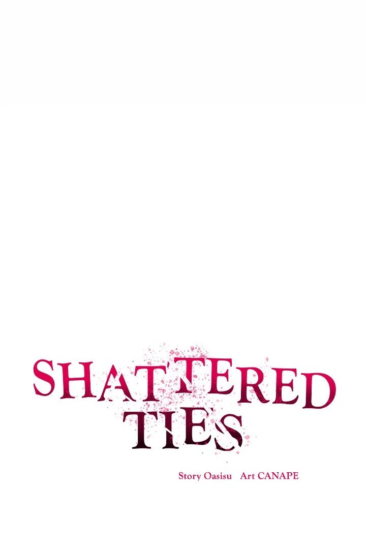 Shattered Ties Chapter 3 Page 28