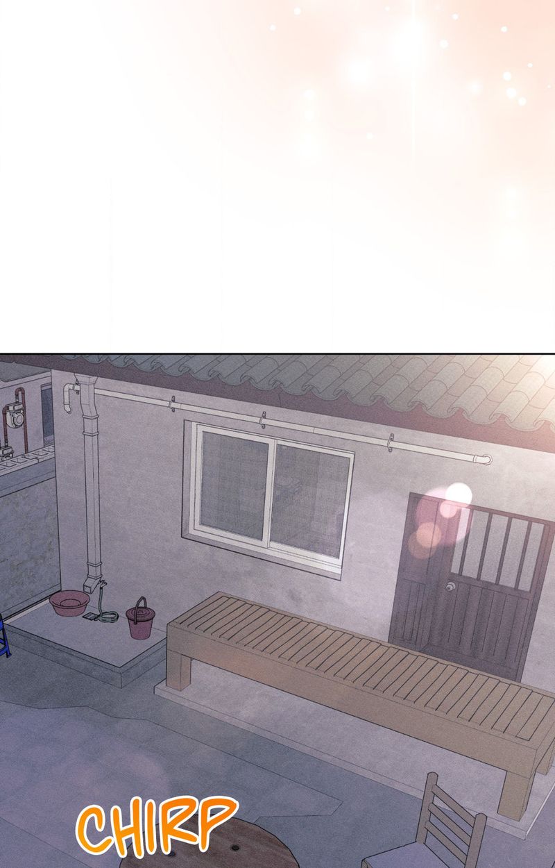 11336 Chapter 36 Page 12