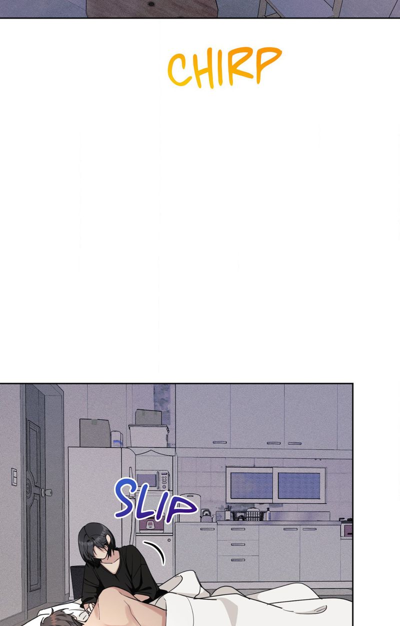 11336 Chapter 36 Page 13