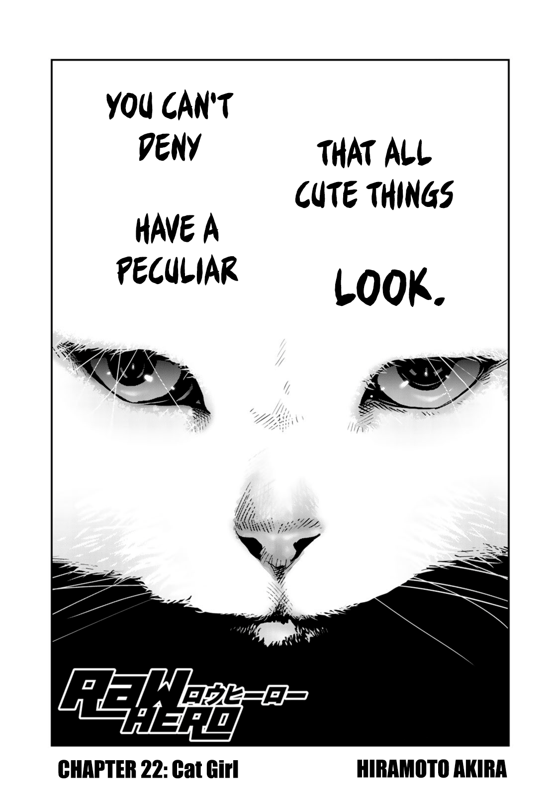RaW Hero Chapter 22 Page 2
