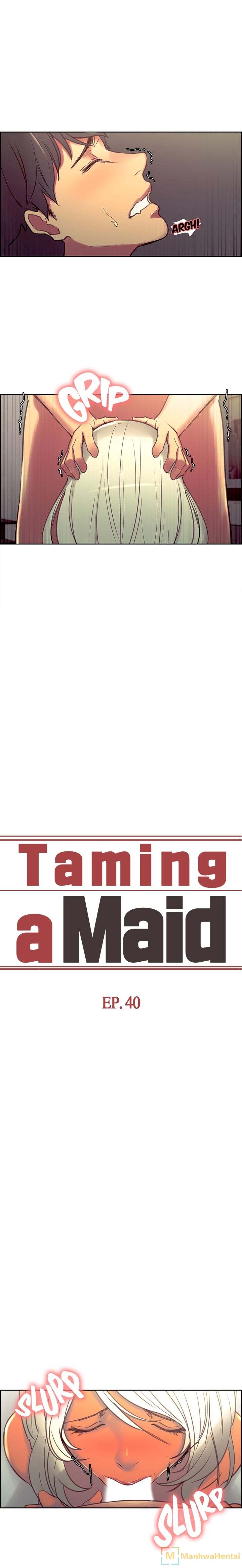Taming a Maid Chapter 40 Page 2