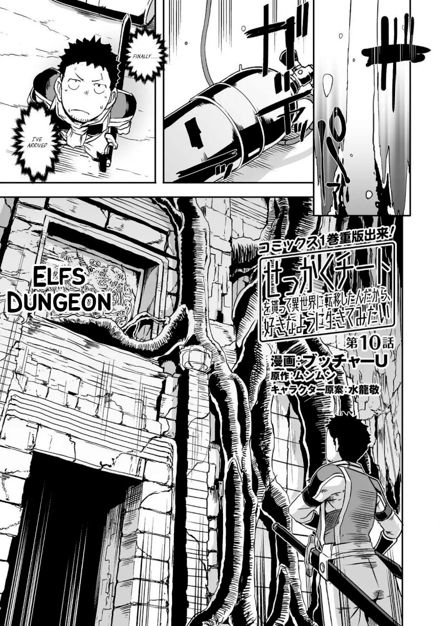 Sekkaku Cheat wo Moratte Isekai ni Teni shita n dakara, Suki na you ni Ikitemitai Chapter 10 Page 4