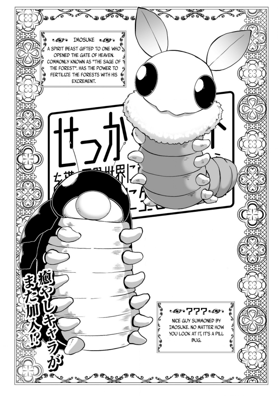 Sekkaku Cheat wo Moratte Isekai ni Teni shita n dakara, Suki na you ni Ikitemitai Chapter 14 Page 6