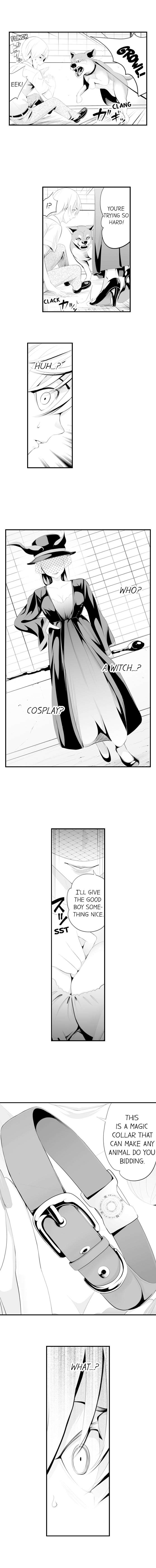 The Collar of Submission Chapter 1 Page 4