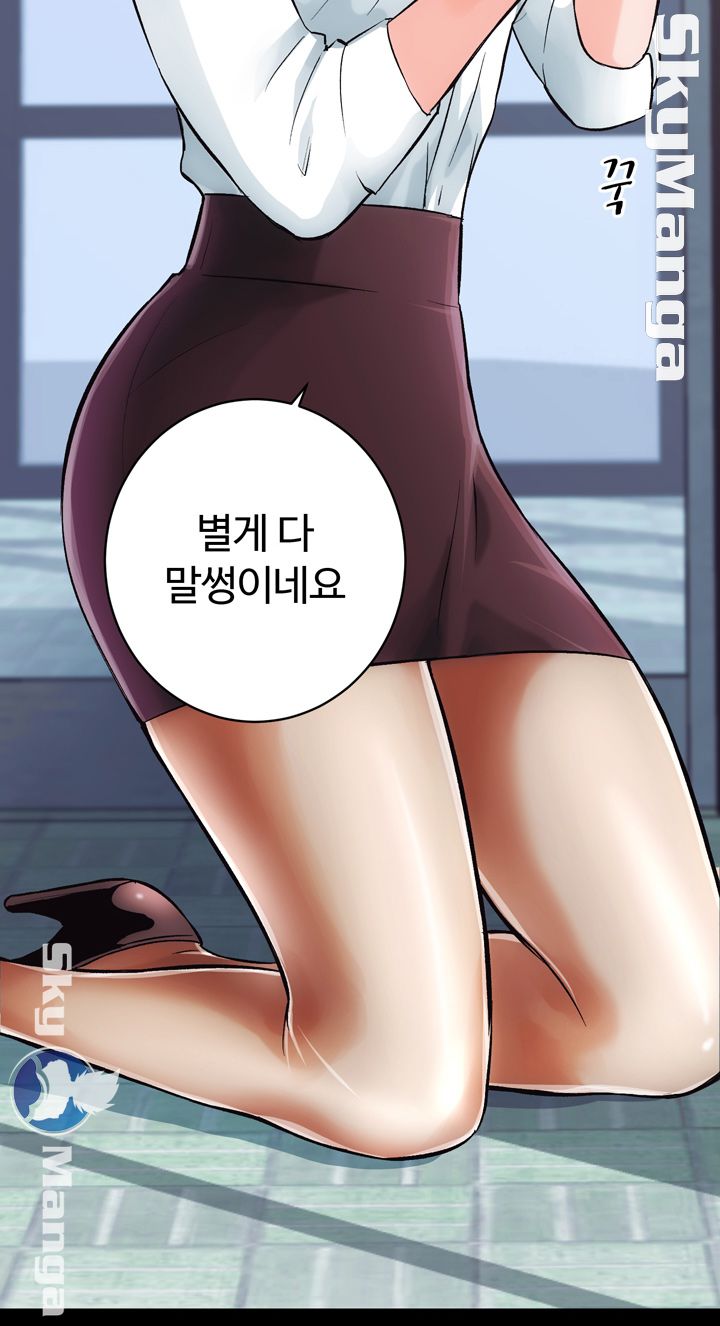 Authorized Agency Raw Chapter 1 Page 17